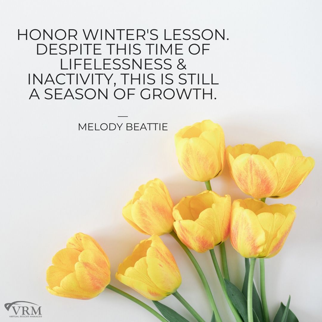 free spring inspirational quotes for social media with yellow tulips