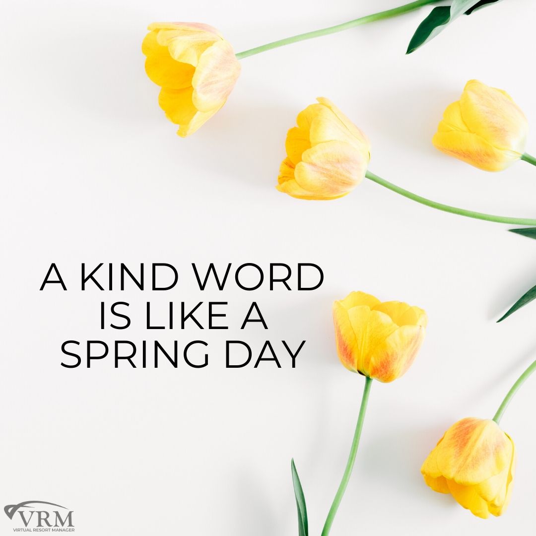 free spring inspirational quotes for social media with yellow tulips